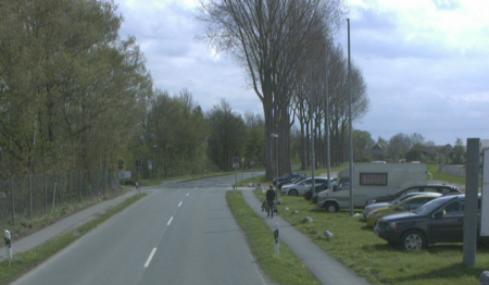 Pappeln an der Kreisstraße 7 drohen umzustürzen und müssen deshalb entfernt werden  (Foto: Kreisstraßenbauamt Paderborn)